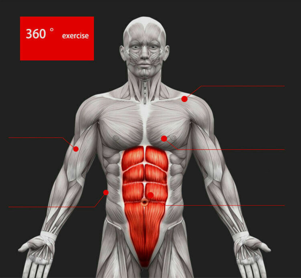 Pro Abs Roller Exercise Wheel – Abdominal Core Strength Trainer & Muscle Workout Cruncher for Home Fitness